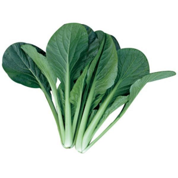 yR}ciqz_CzigL^cj@uĂ̍bqiȂ̂jv10ml@5ȍ~ƂȂ܂