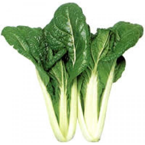 ycPiqz@ur^~؁iт݂ȁjv@@1dl