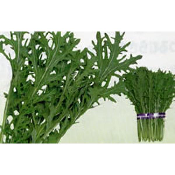 y炵؎qznӍ̎@AX炵؁@2