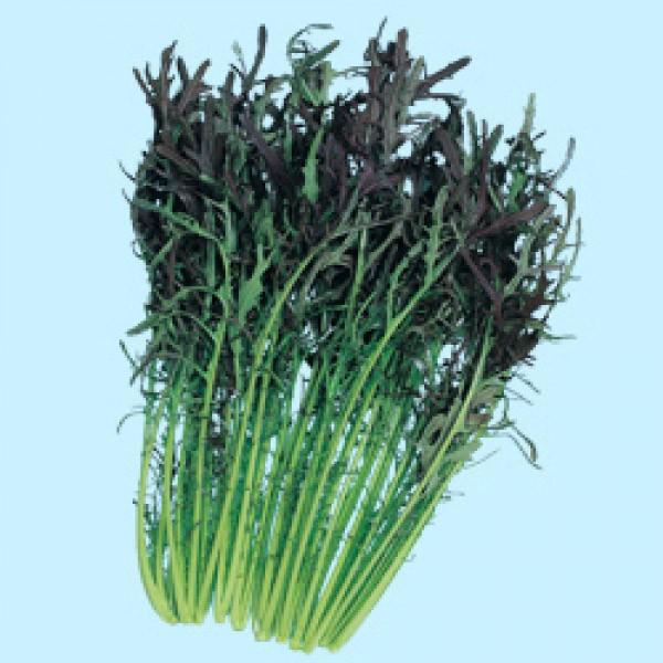 y炵؎qznӍ̎@ԃAX炵؁@2