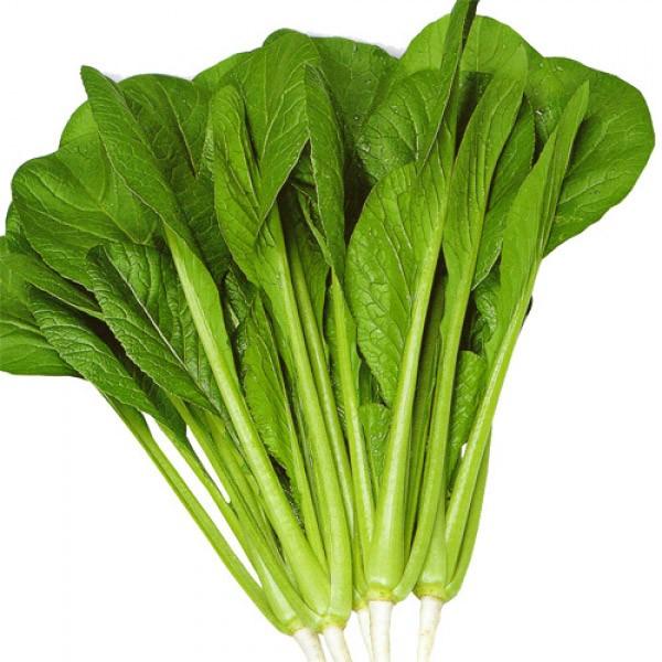 yR}ciqzg[zN@؁u݂Ȃ݁v2@[J[/s