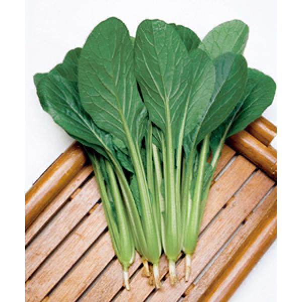 yR}ciqz@^LCz@@@؁XiȂȂˁj@@20ml