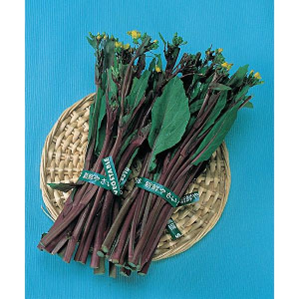 y؎qzATq_܂̓TJ^̃^l@uRETC^Cv@8mli2000j