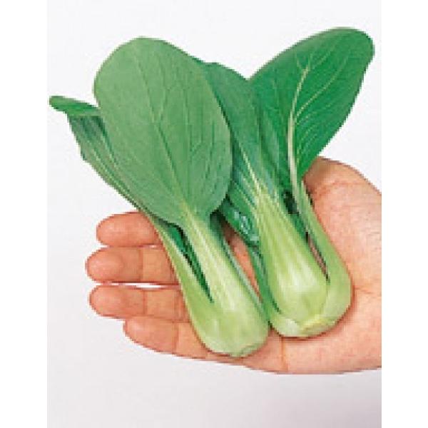 y؁F`QTCqzTJ^z@VIpI@~j`QTC@