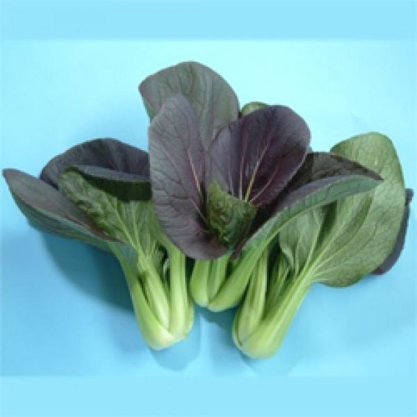 y`QTCqznӌzinӔ_j@jCnIEtH@50000