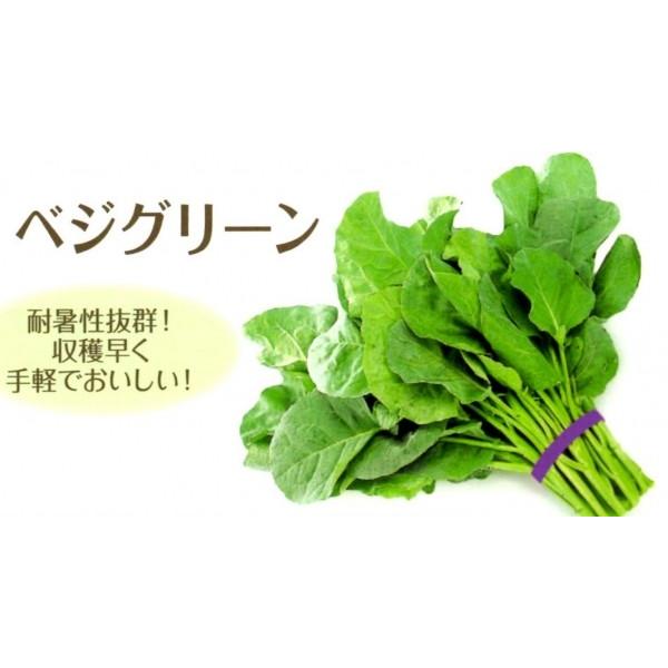 yJCqz@ȁ`琬it^ocj@nJC@xWO[@܁@[J[ɂs