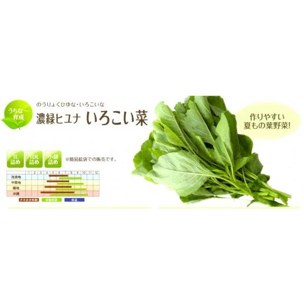 yqiqz@ȁ`琬it^ocj@Z΃qi@낱؁@1@[J[ɂs