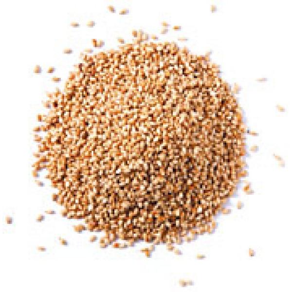 y܁z@܁@iӖ̃^lj@1@1ȍ~̂͂