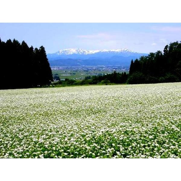 y΂̃^li\ojzÎYuÂ΁iÂ΁jv1kg@ċEH@2026Nxp\