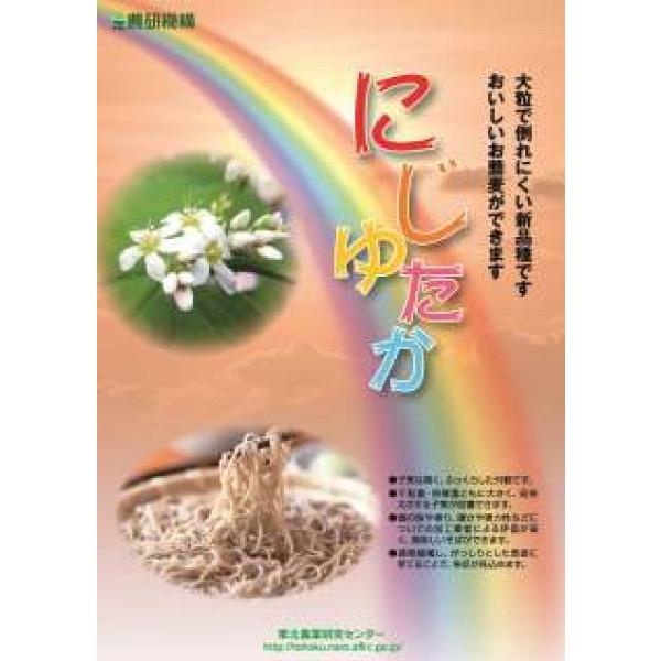 y΂̃^li\ojzɂ䂽@1@3ȍ~`蔭/ʌ