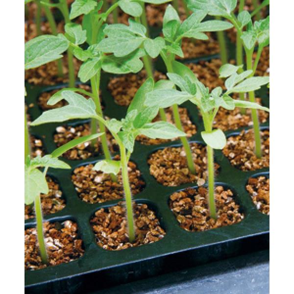 yg}g̑؎qz^LCz@O[Z[u@1000@PVPo^i@[J[/s