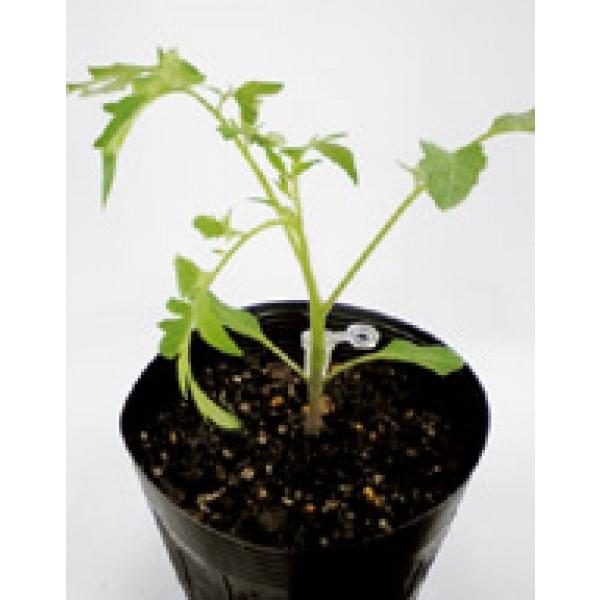 yg}g̑؁z@TJ^z@uV[uv@PRIMAXq@IWi20@12ȍ~̂͂\