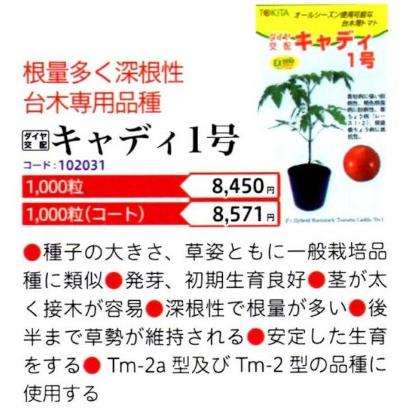 yg}g̑؁zgL^ci_Czj@uLfB1v@1000@[J[/s