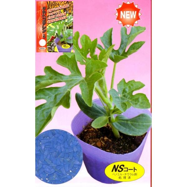 yXCJ̑؎qzigz@ueqwR^v ؗp[@400@1ȍ~̂͂\@[J[/s