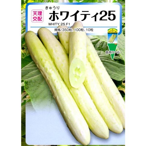 yLEqz  Vzia_j@zCeB25@100@V^l͎qؑւ1ȍ~̂͂\