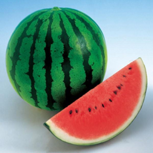 yXCJqz^LCz@ĕPiԂj@DF܁i9j@V^l͎q؂ւ1ȍ~̂͂\