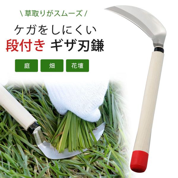 アキラさんギザ付き草取りに鎌６本 shimomurakihan_37545