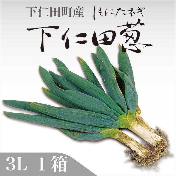 下仁田葱 3L (12本入り)1箱 下仁田町産 : 道の駅しもにた 下仁田葱 3L (12本入り)1箱 下仁田町産 : 道の駅しもにた