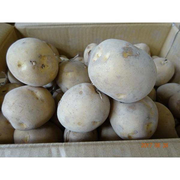 一年間を通じて、訳ありジャガイモをお届けいたします。南は九州から、北は北海道まで、お値打ちなジャガイモを探してまいります。新鮮なジャガイモをお届けします！3営業日以内に発送いたします。年間を通じて、お届けいたします！