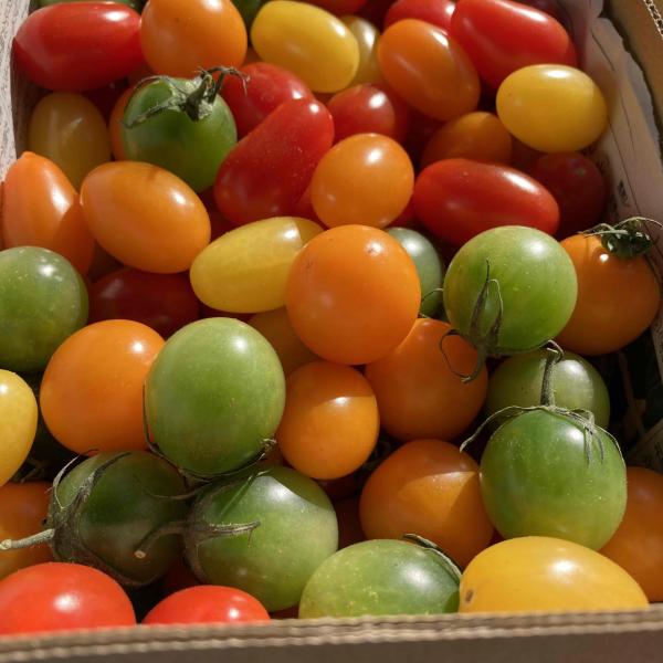 究極のフルーツトマトミックス1ｋｇ宝石箱（あまえぎみ＋クレア＋ミニトマト麗）母の日　父の日のプレゼント　　　熨斗、簡易包装対応しますハウストマトの一番甘くなる季節は、1月〜5月です！