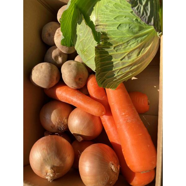 常備しておきたい野菜をお宅までお届け安心安全野菜ですよく使う野菜中心。使い切りの量です