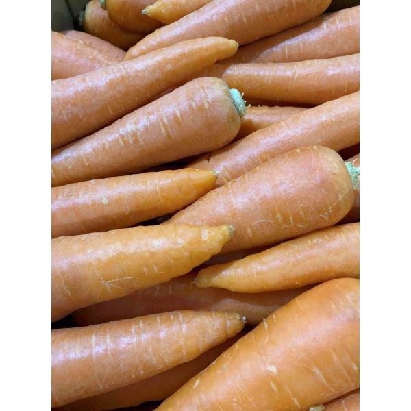 香りが良くて柔らかい、新にんじんはじまりました。訳ありですので、サイズはバラバラ、割れ、変形あります。