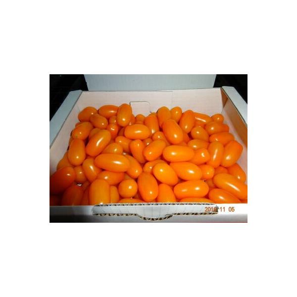 高糖度のフルーツトマトです。”クレア”は甘さと独特の”プチッ！”とした食感が最高です。その後でジューシーな果汁ならぬ、トマト汁が溢れます。これはもう、くだものですね。当社はホンコンにも輸出しておりますが、大変好評です。是非、ご賞味ください。...