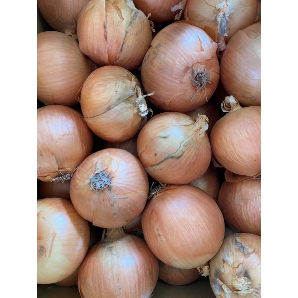 規格外ですが、家庭用、業務用でも支障ありません。市場に大量入荷の玉葱！どうしても、はねだし、規格外品がたくさん出ます。はねだしなのでお値段は安い！！こんなお値打ちな玉葱はいかがですか？