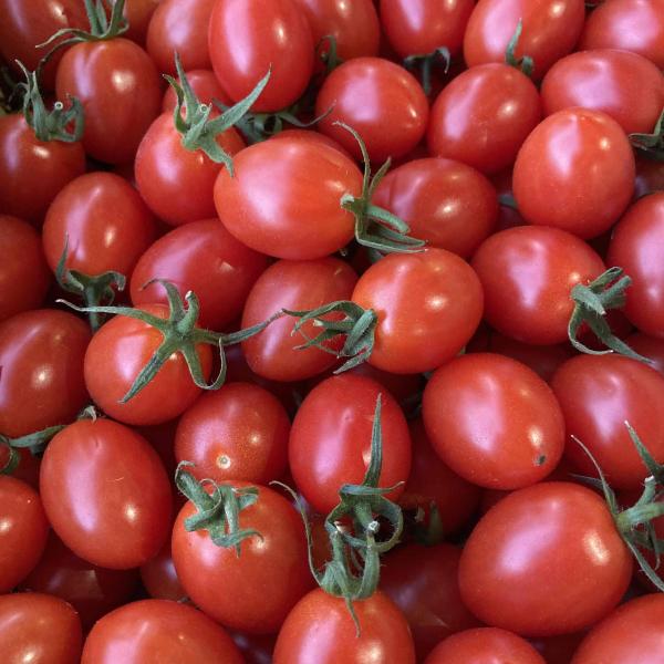 原産フルーツミニトマト　アイコ1ｋｇ母の日　父の日のプレゼントのし、簡易包装いたしますハウストマトの一番甘くなる季節は、1月〜5月です！お菓子のようなフルーツトマト”アイコ”は甘さと独特の”プチッ！”とした食感が最高です。その後でジューシー...