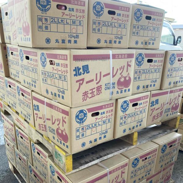 アーリーレッドとはアーリーレッドは赤玉ねぎの品種のひとつで、「レッドオニオン」ともいわれています。赤玉ねぎにはアーリーレッドのほかにもほかにも「くれない」などの品種があります。表皮は濃い赤紫色をしており、表層部も赤紫色です。断面は赤紫色と白...