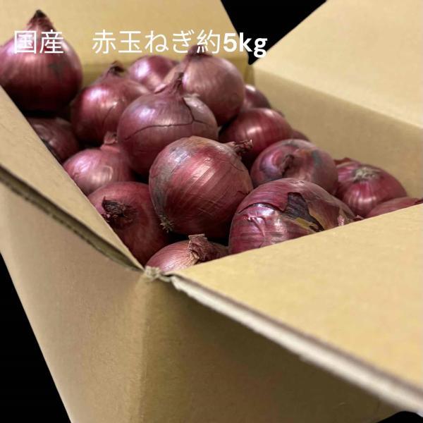 辛味が少なく、ほんのり甘味があるので、生で食べるサラダやマリネに向いています。