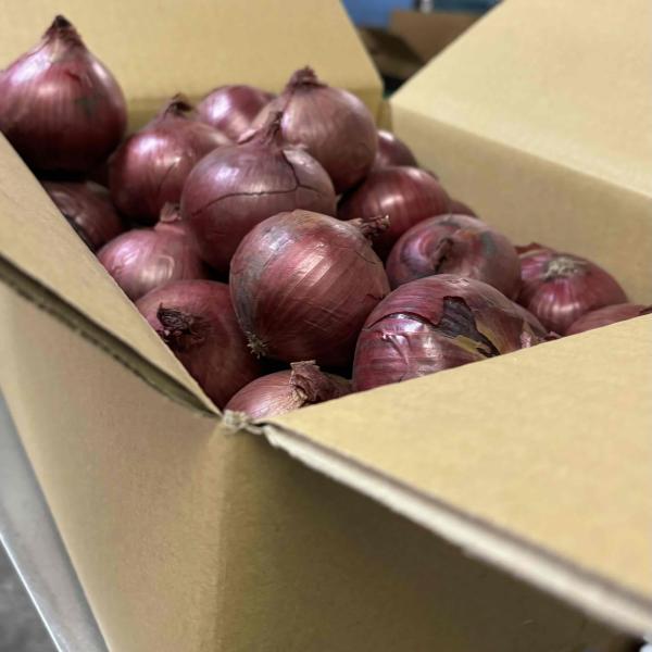 辛味が少なく、ほんのり甘味があるので、生で食べるサラダやマリネに向いています。