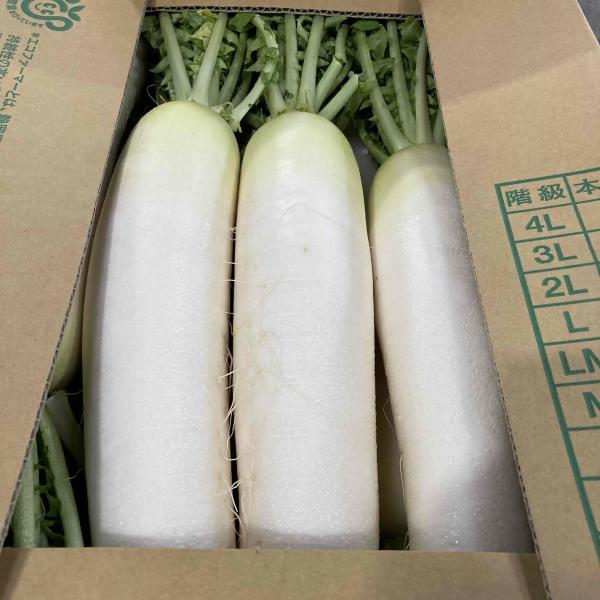 年間を通してお届けします