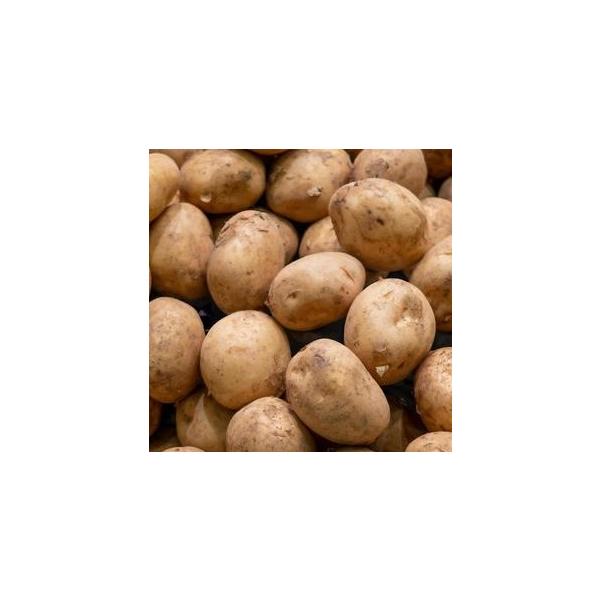 一年間を通じて、ジャガイモをお届けいたします。形が不揃い、変形、大小混合、キズ有り・・・・大きさを指定することはできません。南は九州から、北は北海道まで、お値打ちなジャガイモを探してまいります。