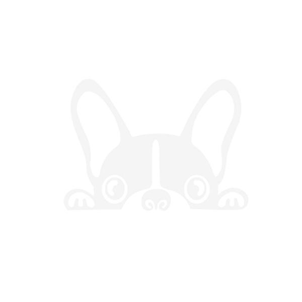 車 ステッカー 犬 生活雑貨の人気商品 通販 価格比較 価格 Com