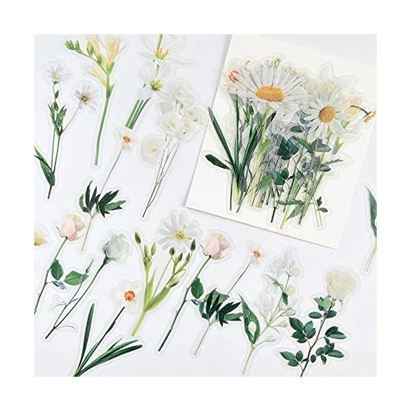 チューリップ シールの人気商品 通販 価格比較 価格 Com