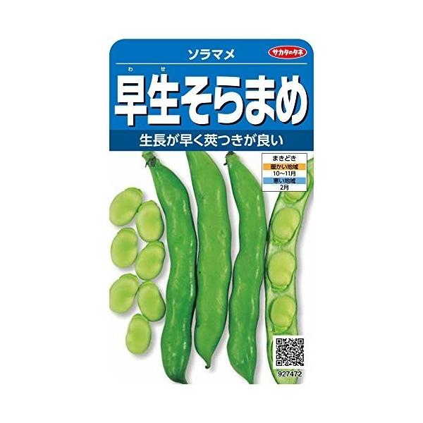 ソラマメ 種 種の人気商品 通販 価格比較 価格 Com