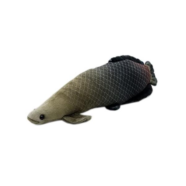 ピラルク ホビーの通販 価格比較 価格 Com