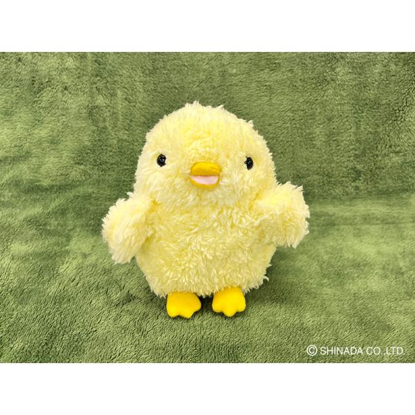 shinada-company_bbni-0068y
