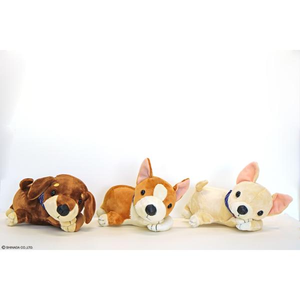 shinada-company_dgn-0058