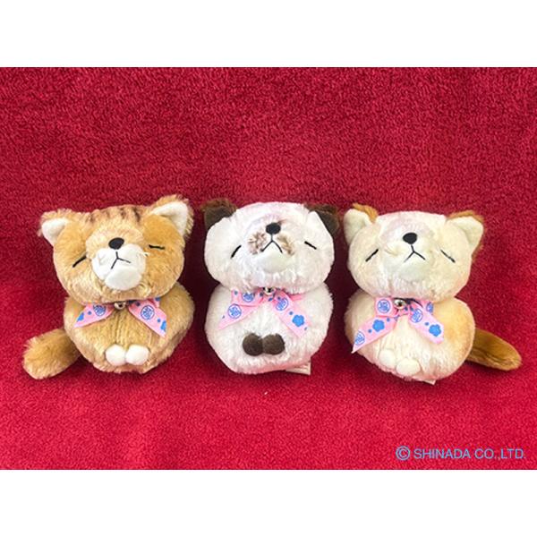 シナダ ぬいぐるみ 福来来 ネコ (S) : シナダオンラインショップYahoo