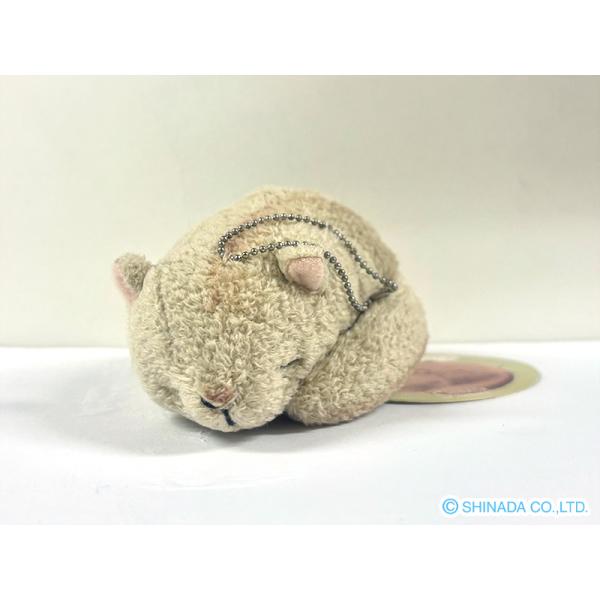 森の奥、葉の陰や木のウラに小さな動物たちが眠っています。子ウサギはまん丸いおなかを出して、ヤマネは小さく丸まって、子リスは大きなシッポをかかえて...。夢見ているのは美味しい木の実？暖かい春の日？おだやかな寝顔にこちらまで眠りに誘われそうで...