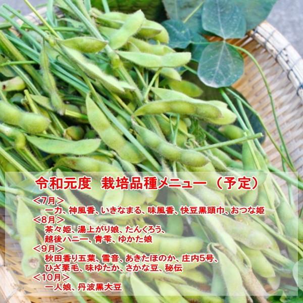 枝豆１kg 茶々姫 ちゃちゃひめ 朝採りエダマメ産地直送 えだまめ予約注文 収穫時期 ８月１日頃 一番早い茶豆 Buyee 日本代购平台 产品购物网站大全 Buyee一站式代购 Bot Online