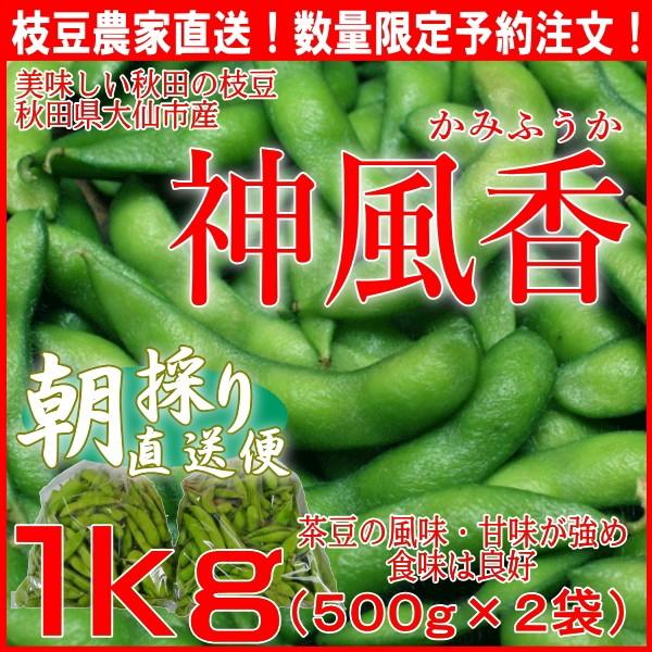 枝豆１kg 神風香 かみふうか 朝採りエダマメ産地直送 えだまめ予約注文 収穫時期 ７月16日頃 茶豆の風味 甘味が強めで食味は良好 M Kamifuuka 品川食品館 Yahoo 店 通販 Yahoo ショッピング