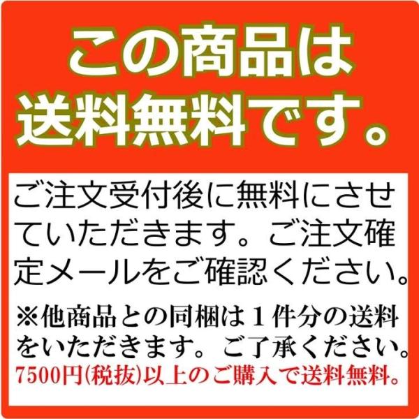 shinbeejapan_shinbee-0006-3_1