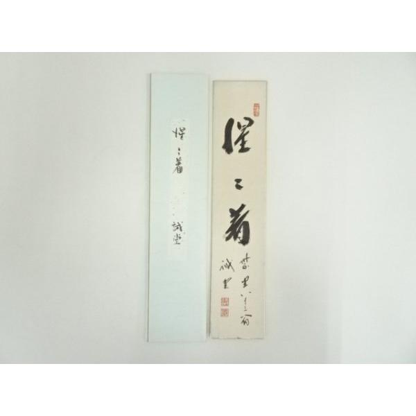 [Release date: November 15, 2024]