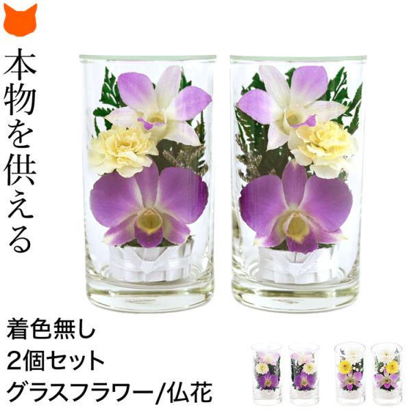 shinfulife-otherlife_apld001230