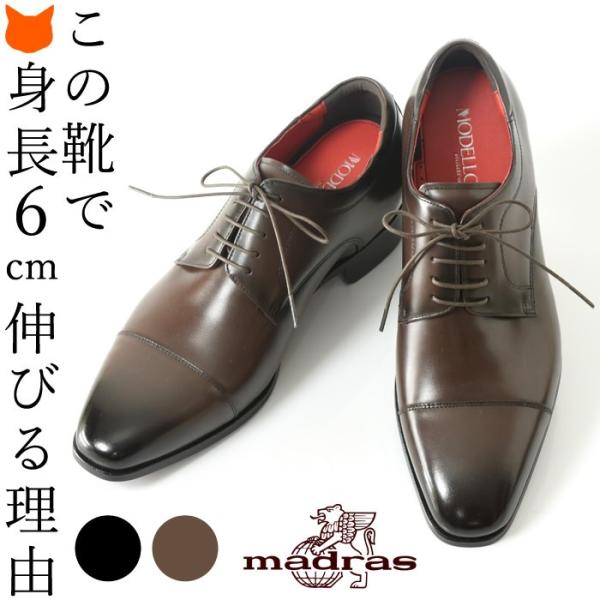 { V[NbgV[Y rWlXV[Y gAbv V[Y Y }hX {v rWlX v C 30 40 50 Xg[g`bv ₷  