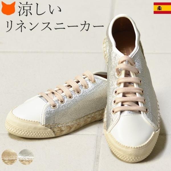 Xj[J[ Vo[ GXph[ {v  ^bN l  S[h 傫 TCY 25cm