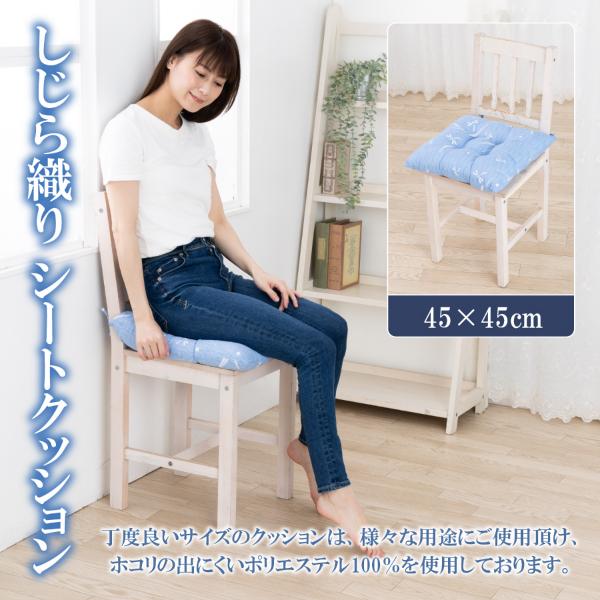  V[gNbV  Rt ֎q zc  NbV D 45 45 V[g NbV 45 × 45 cm